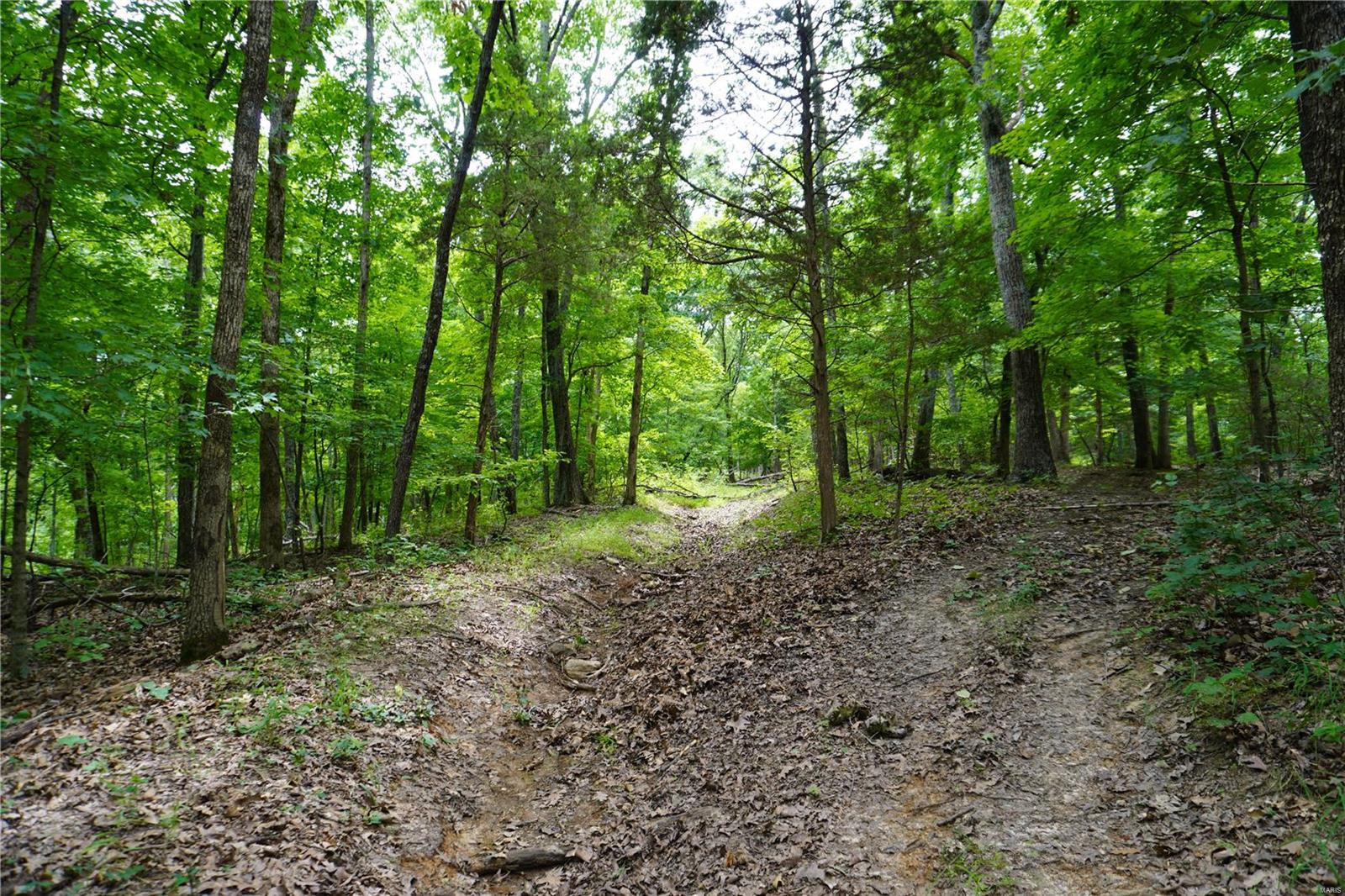 Hummingbird Hills - Farm