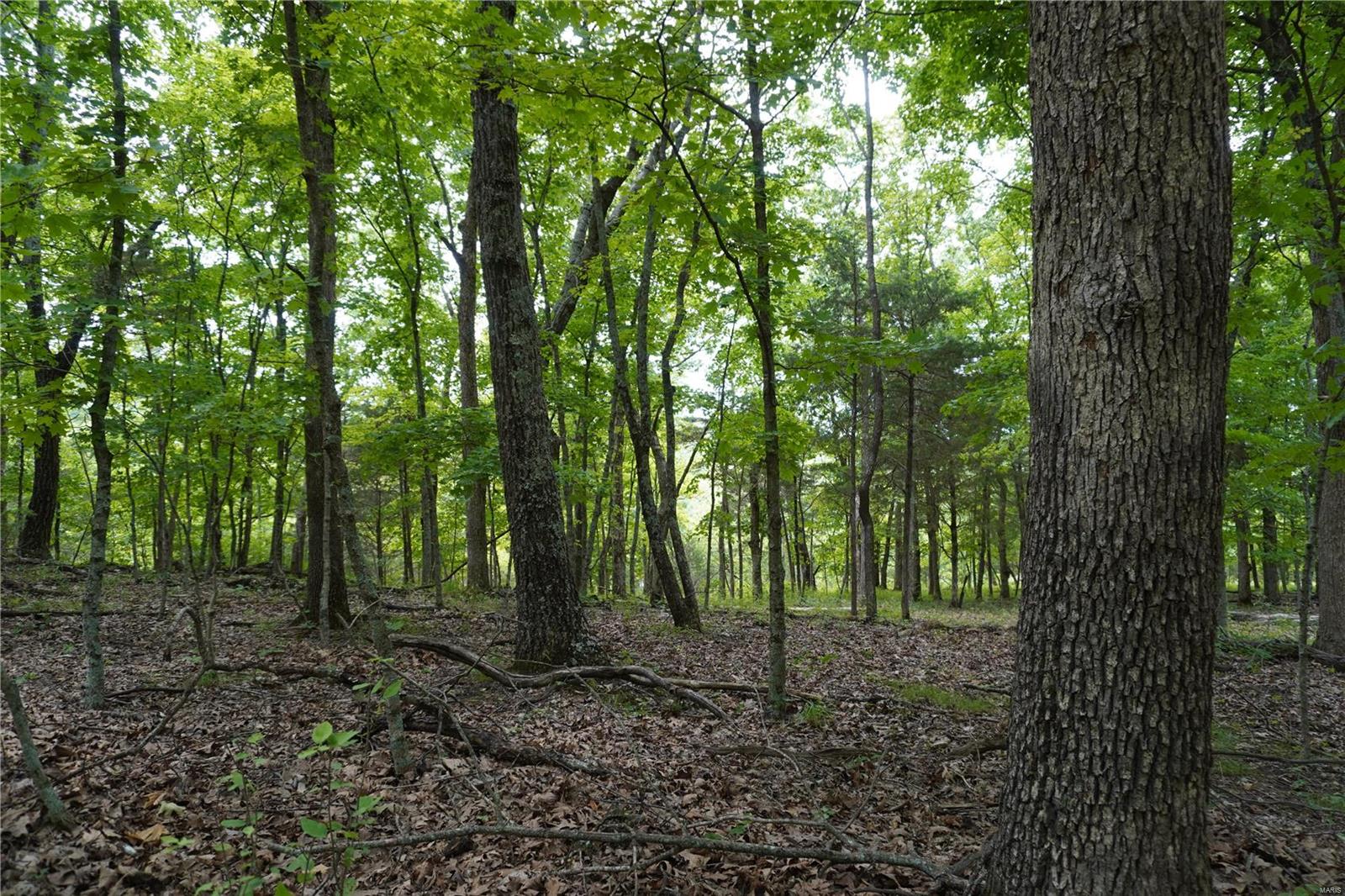 Hummingbird Hills - Farm