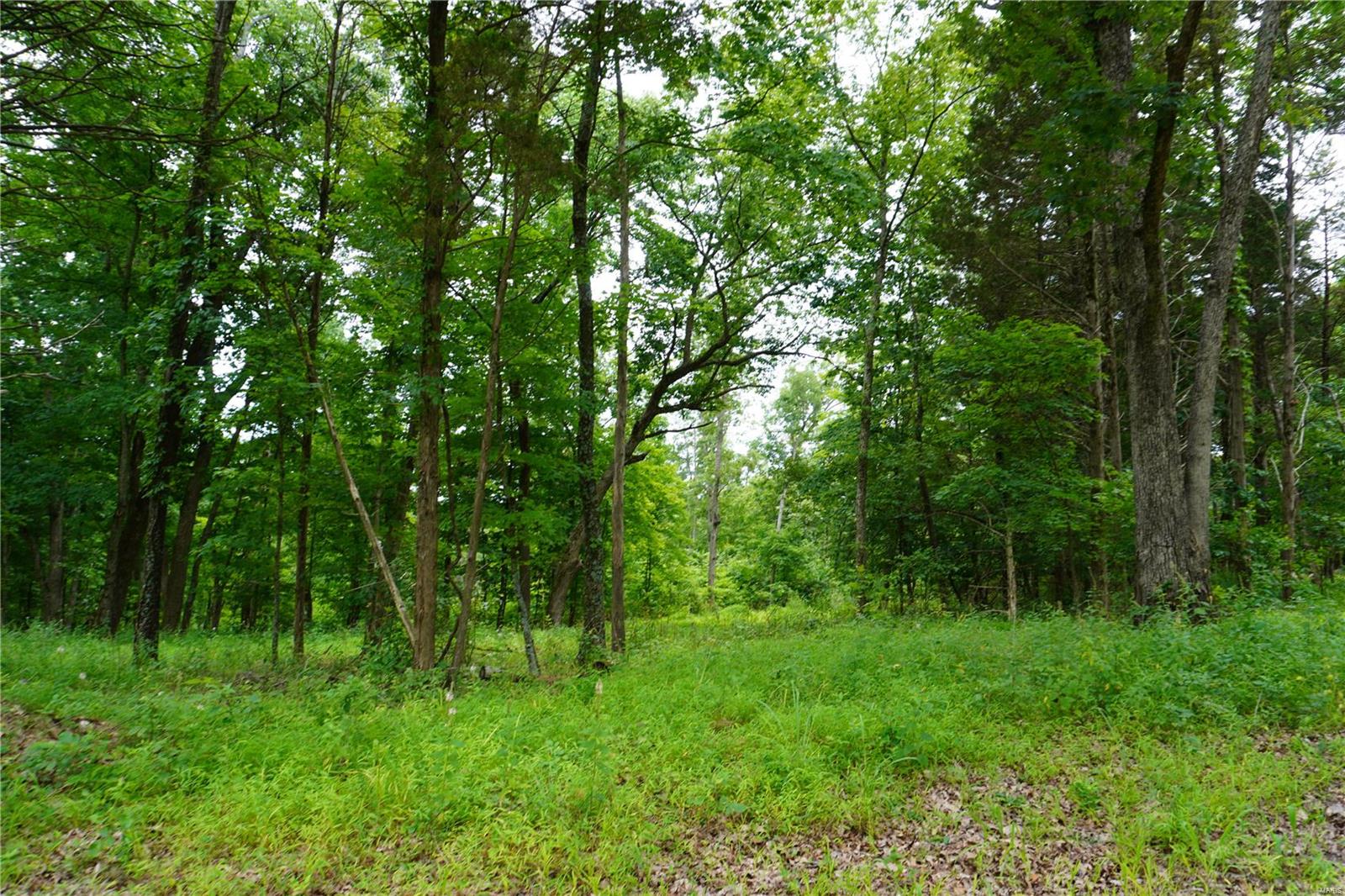 Hummingbird Hills - Farm