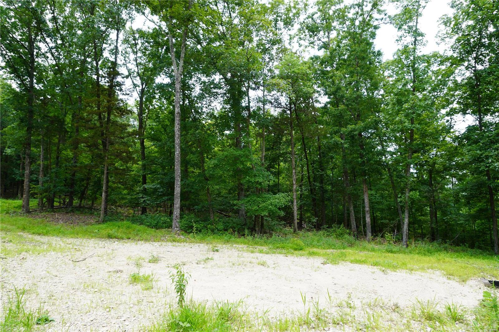 Hummingbird Hills - Farm