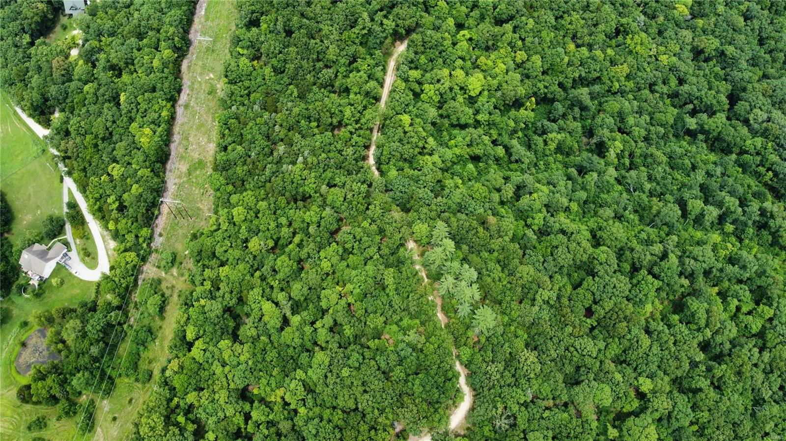 Hummingbird Hills - Farm