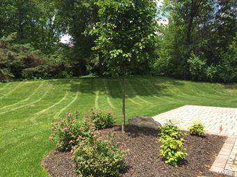 Lynnbrook - Residential