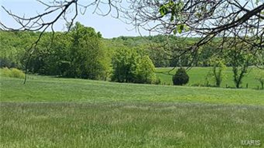 GREAT HUNTING PROPERTY W/INCOME! Good Location Less Thank 1 Hour from Wentzville.  Lots of Wildlife.  1/2 Mile Loutre Creek Borders Farm.  Large Bottom Fields & Nice Rolling Fields.  Not Steep.  Property Includes 2 Grain Bins, 2 Old Barns and 1 Machine Shed.