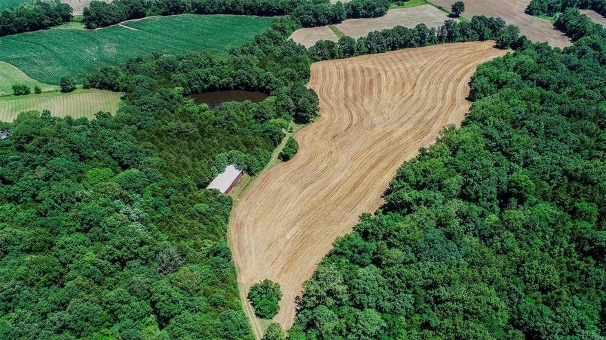 This property is beautiful with level to rolling. Pasture or crops, woods for hunting with plenty of game. Pond and an additional lake site. A large pole barn 40X90. This is a must see. Just minute from town. 2 parcels