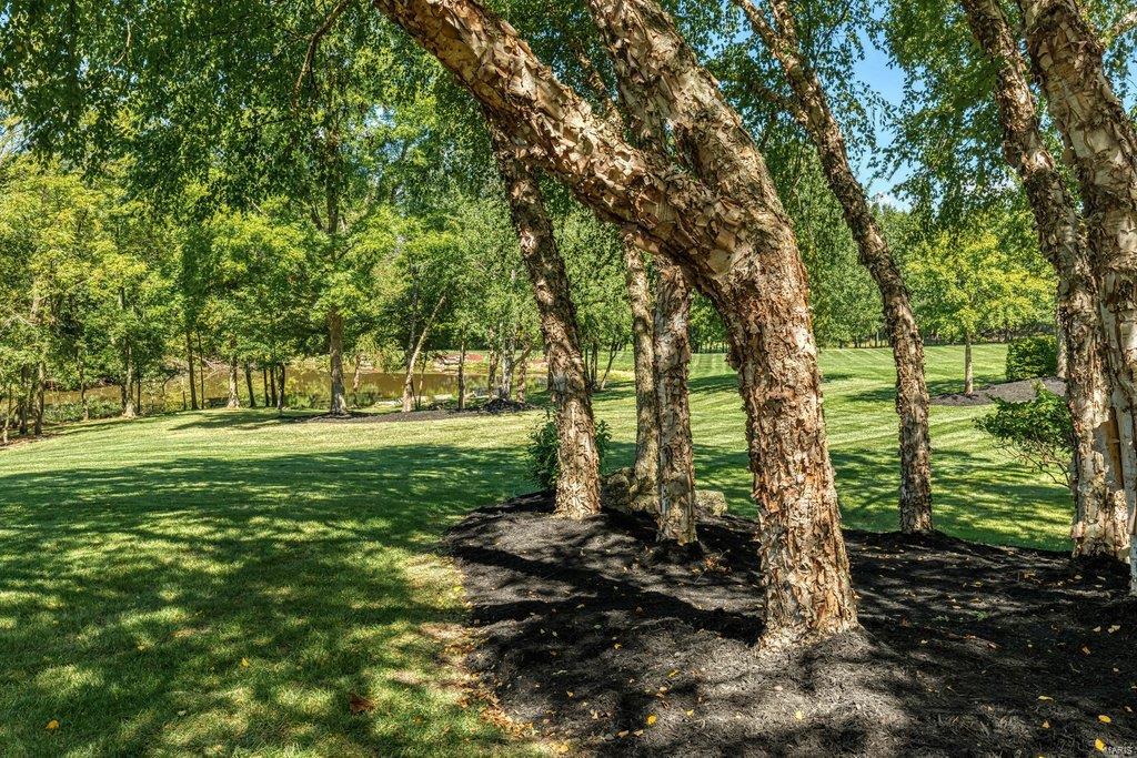 Whitmoor Upper Rdwy & Esmt - Residential