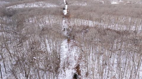 Photo of 0 Pebble Creek Drive, Warrenton, MO 63383 (MLS # 25021772)
