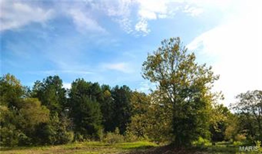 Large, affordable, and waiting for you! With use ranging from hunting, recreational, or even a the possibility to build a family residence. Whether looking for a hunter's paradise or a place to get away from it all, this property can accommodate a wide variety of wants and needs! Other lots available with this estate - contact your agent for details! SpecialListingConditions: Probate