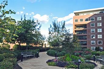 The Crescent - Residential