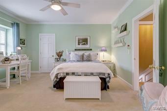 Buckland Road - Residential