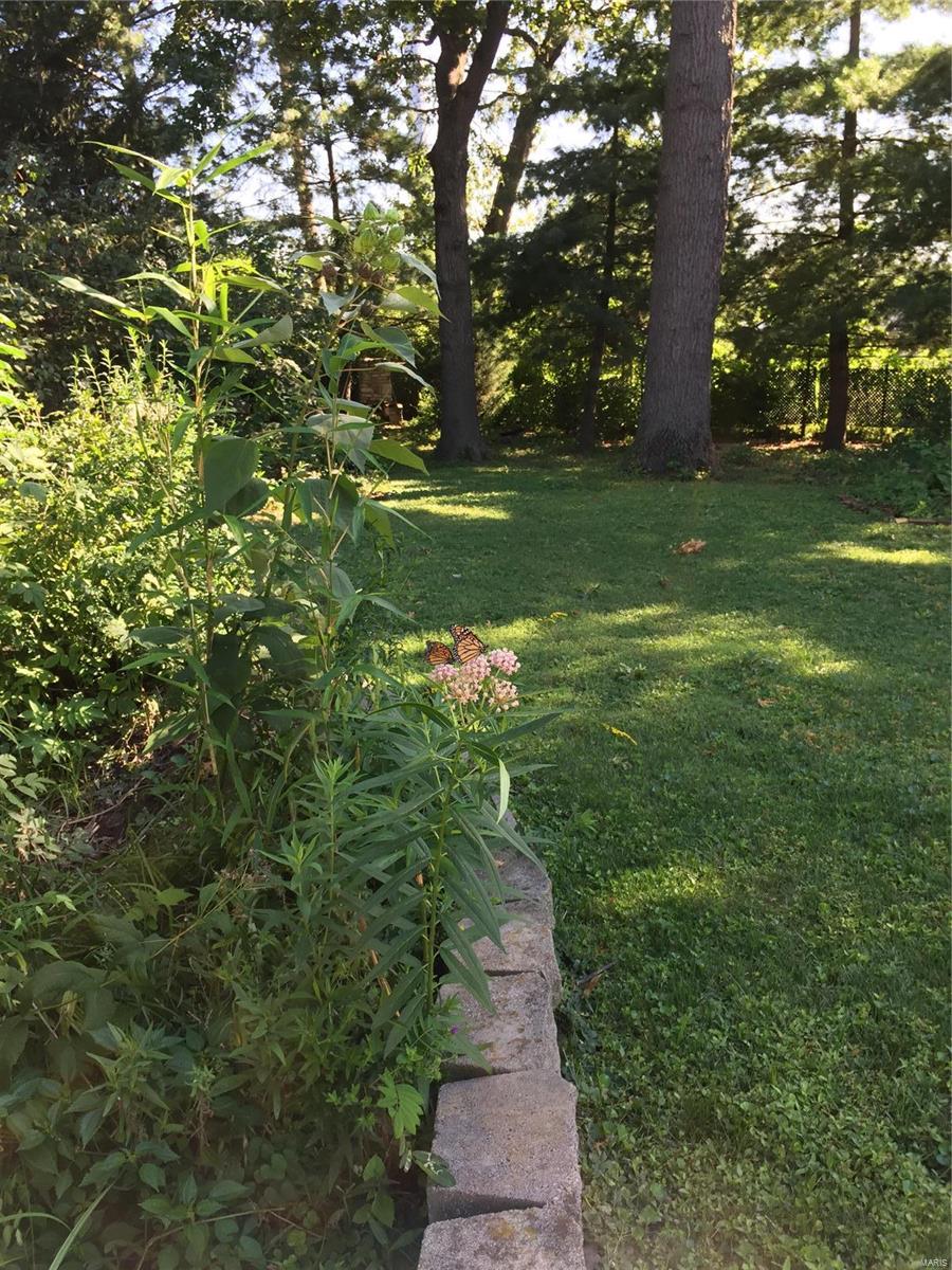 Lake Forest - Residential