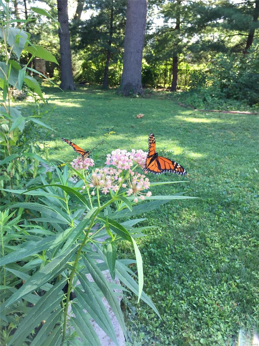 Lake Forest - Residential