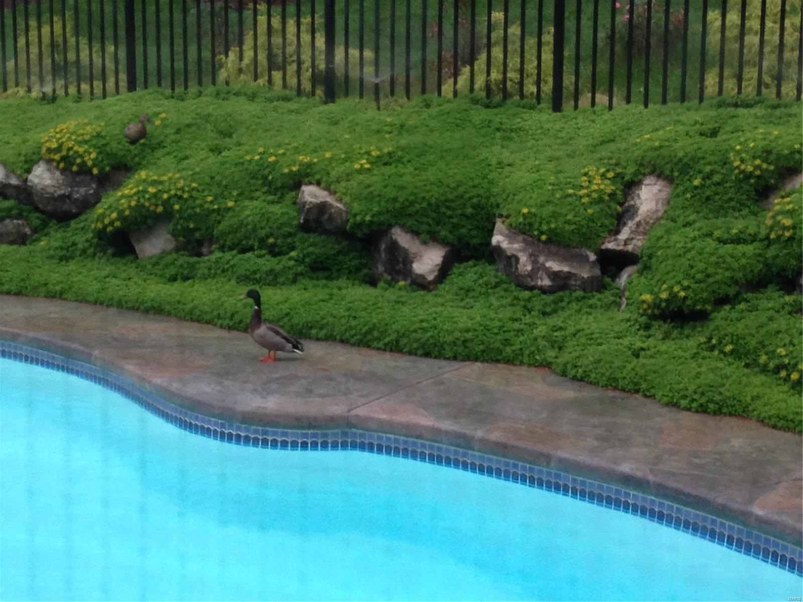 Pinecrest Manor Amd - Residential