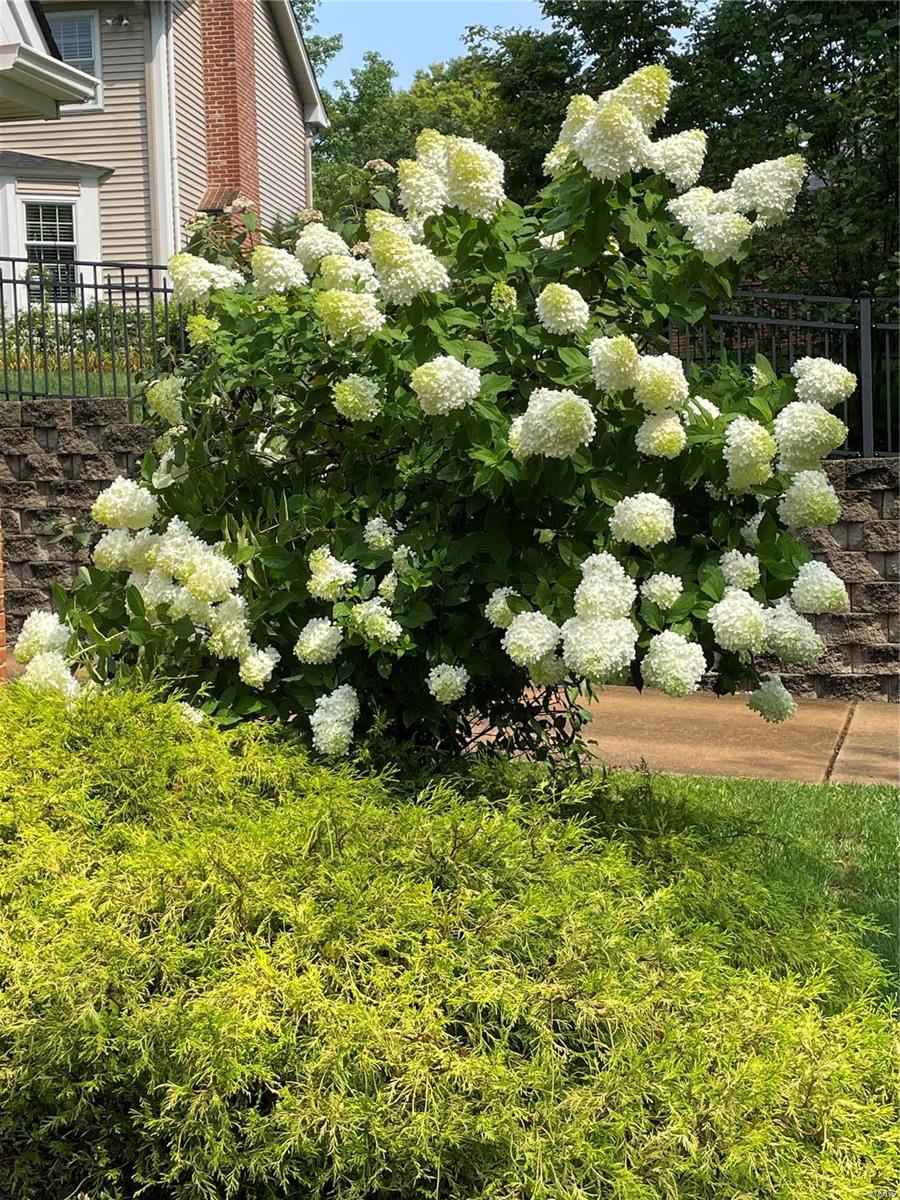 Pinecrest Manor Amd - Residential