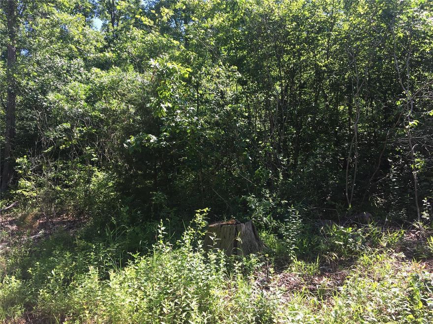 All wooded acreage very close to Ironton but private. Excellent Hunting and close to Arcadia Valley and many State Parks. Has access to  Mark Twain National Forest. Great place to build a weekend or year round home. Manufactured doublewide homes allowed.