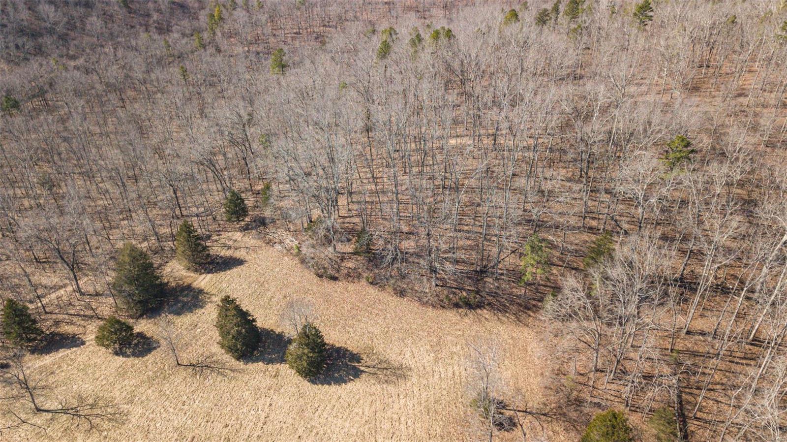 NON SUBDIVISION - Farm