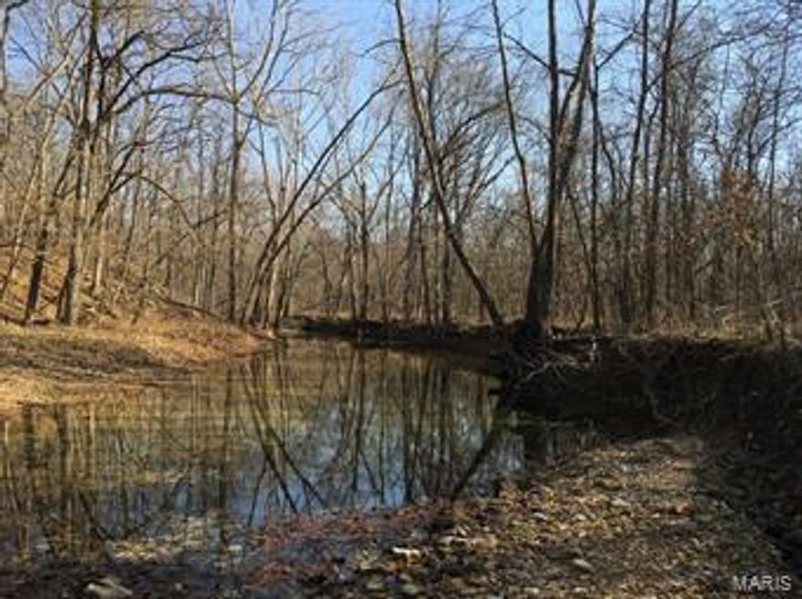 Plenty of recreational opportunities including hunting, hiking and riding ATV’s. Perfect property for everyday living or a weekend retreat! Gorgeous setting you have to see to believe with a creek throughout and scattered cedars.