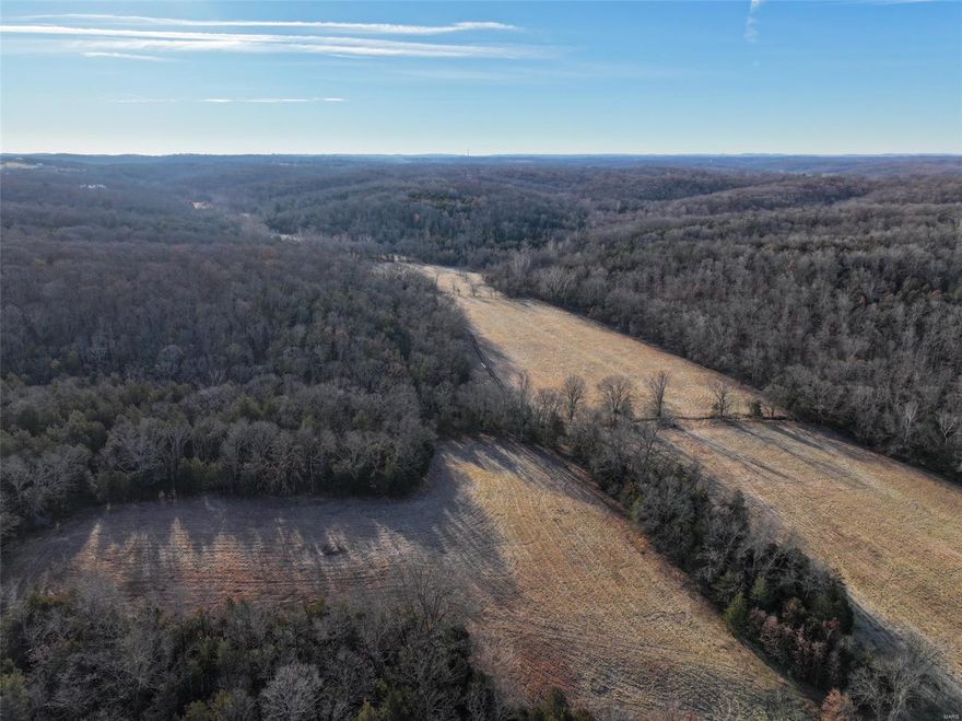 Beautiful property offering both open pasture ground and woods. Being only minutes from Festus, this property is a great building location.