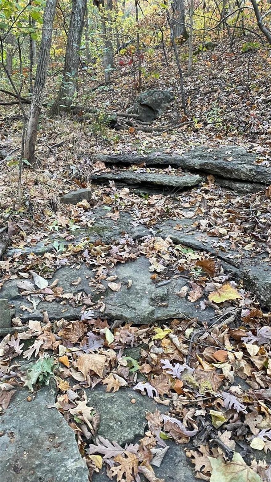 Come build your dream home on this private wooded 7 acre parcel of land. This wooded property offers amazing landscape opportunities with the beautiful creek beds and mature trees.  Property slopes down and has a beautiful creek bottom. Lots of wildlife roaming the area.  Property is located in the Calverton Heights sub division.  Just 3 miles from Hwy 55. R7 Schools.  Don't miss this rare find of acreage!