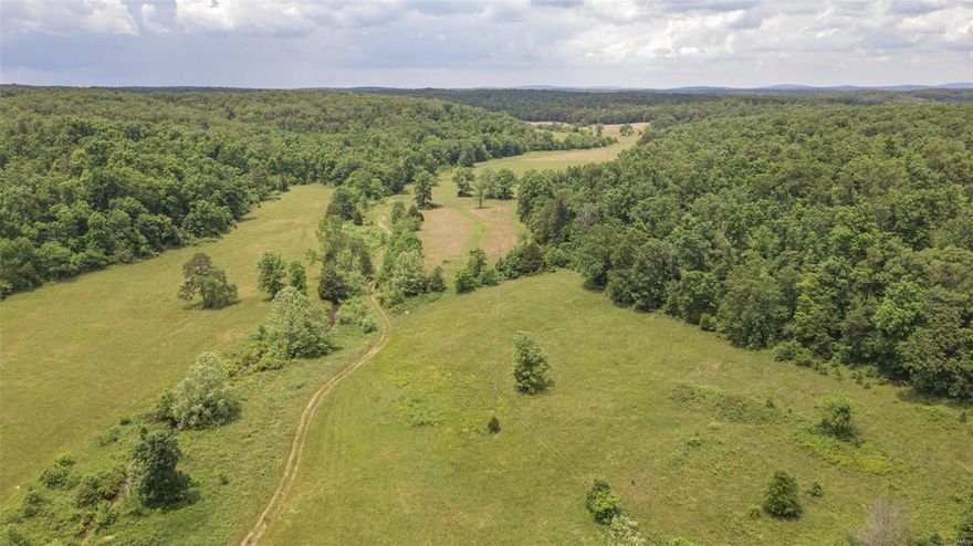 600 Acres (+/-) of beautiful Ozark country.  This farm is approximately 150 acres of very good hay producing bottom ground and 450 m/l wooded with lots of marketable timber.  The farm has one 1232 SF house that has recently been remodeled and updated for use as a hunting cabin and another older home that needs some repair along with a 60' X 40' equipment barn.  The two spring fed creeks provide live water for the many species of wildlife in the area.  The turkey and white tail deer hunting is phenomenal.  If you are looking for a large farm to raise a family or a hunting retreat for you and your buddies you need to check out this property.  Call today for your private side by side tour of this amazing farm.