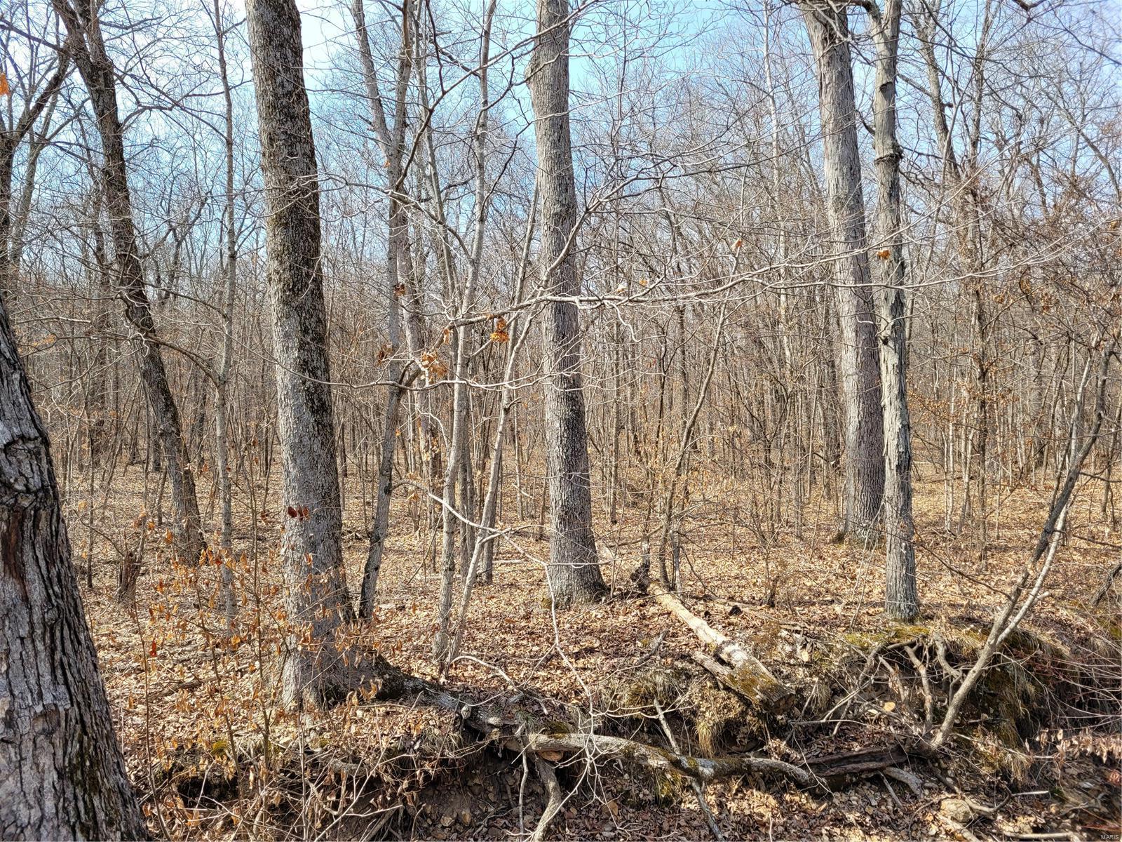 Daniel Boone Lake Estates - Land