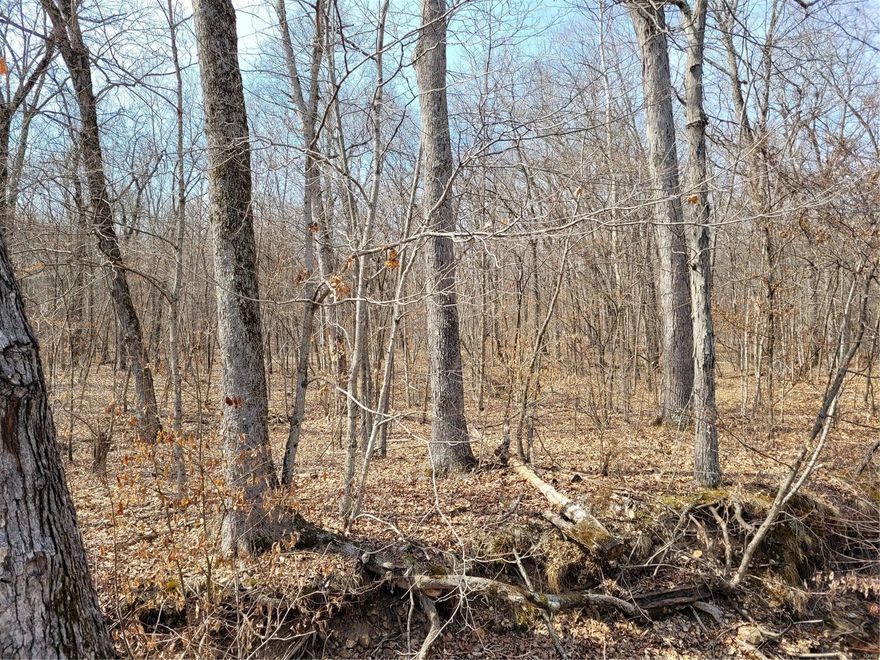This property is a perfect for your favorite outdoor enthusiast.  Over 3 acres of privacy.  Level lot with a beautiful view of the neighbors pond.  Property adjoins to Daniel Boone Conservation where you could hunt, hike, or just explore nature. The mobile home is personal property perfect for a shelter.  But not much more as there are no utilities on or near the property. Deer stand is an added bonus.  Complete seclusion from the outside world.  A quiet place that is surrounded by trees and nature. A place to relax, unwind, unplug and go camping. Additional Rooms: Other