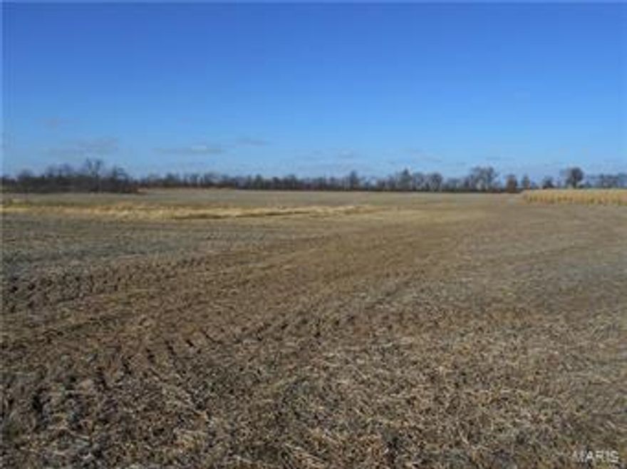 Ralls County Missouri tillable farm for sale has 158 +/- acres total, with 145 +/- tillable ground. This farm has no improvements and is primarily tillable with 71% Class A soils, Mexico Silt Loam and Putnam Silt Loam. An additional 20% is a high Class B Soil.  One half mile of county road frontage and lays 1/2 mile off of Hwy. 154. This farm is available for 2018 crop year.