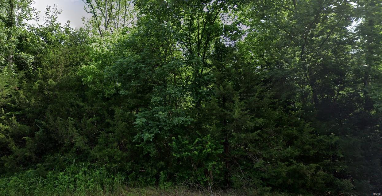 Cedar Hill, Missouri 63016, United States, ,Land,Active,118672