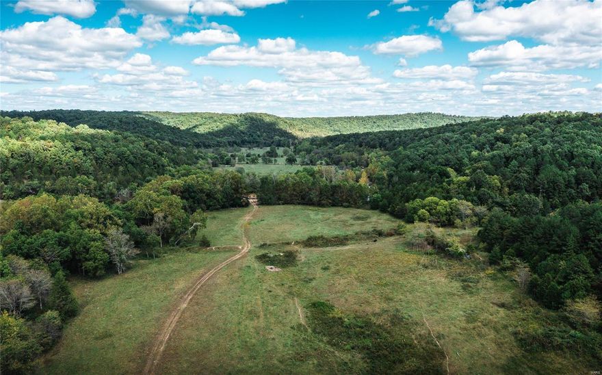 This 490 acres is located in a secluded area near Salem, Missouri. The property offers a front row seat to all of the breathtaking views that the Ozarks have to offer. With a perfect mixture of bottomland and wooded acreage there are great possibilities for a farm and or recreational usage. The North and South of Ashley Creek converge on this property which makes a natural watering for cattle and wildlife. A 10 minute travel to Montauk State park brings great opportunity for prime trout fishing. This piece of paradise is perfect for anyone looking for beauty and functionality in one spot. Set up your appointment to see it for yourself.