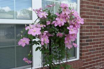 Jones First Addition - Residential