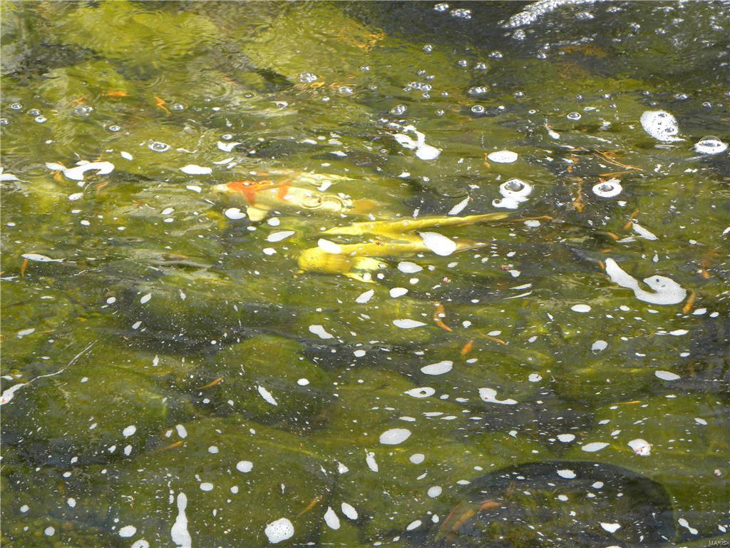 Cascades 04 - Residential