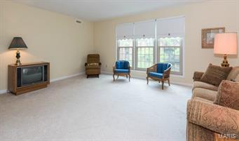 Villas At Golfview Condo The - Residential