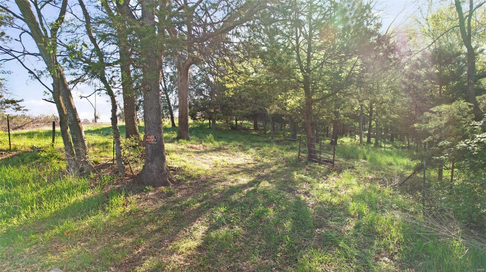 56.381 Acres Hwy - Farm