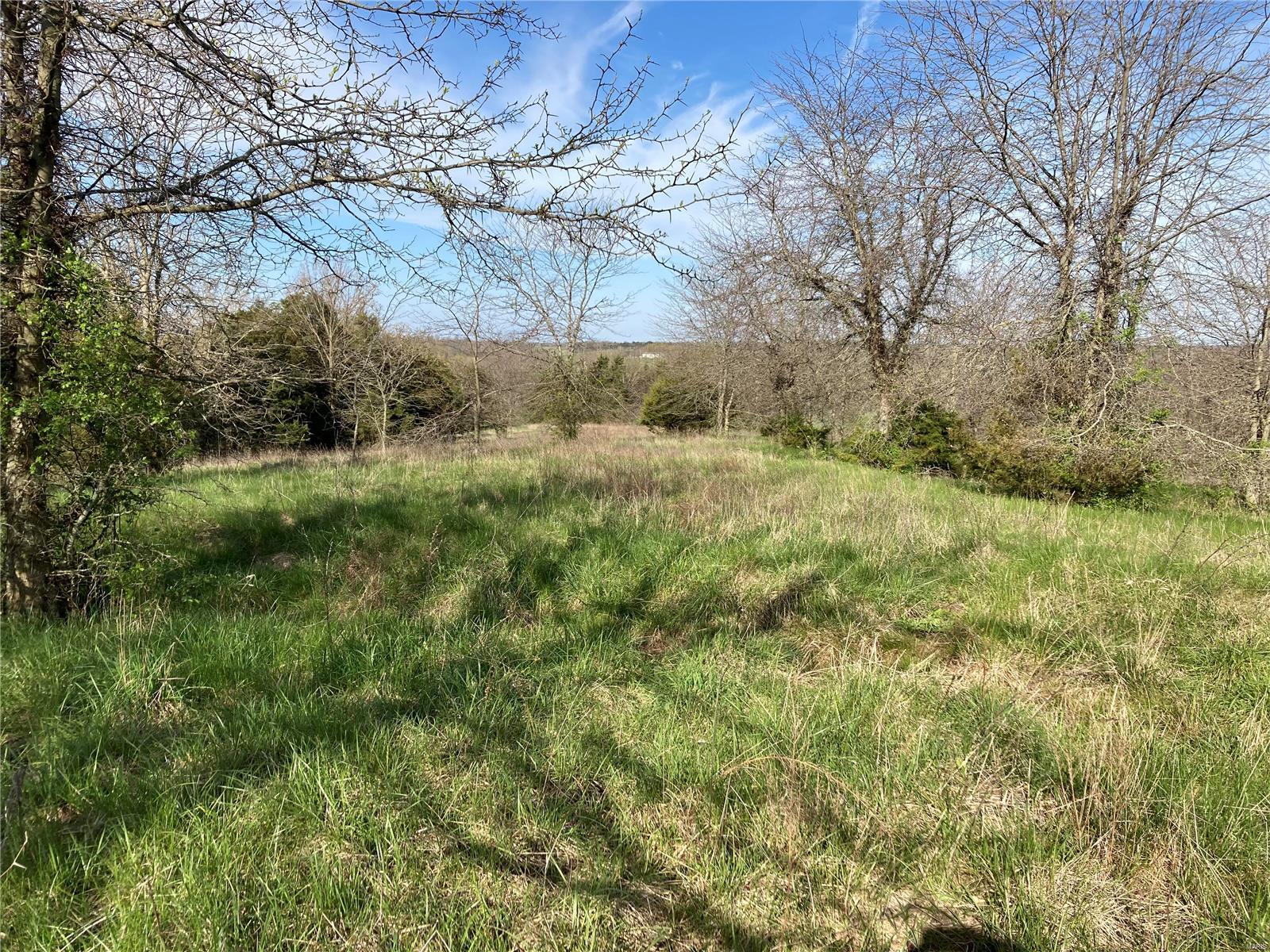 56.381 Acres Hwy - Farm