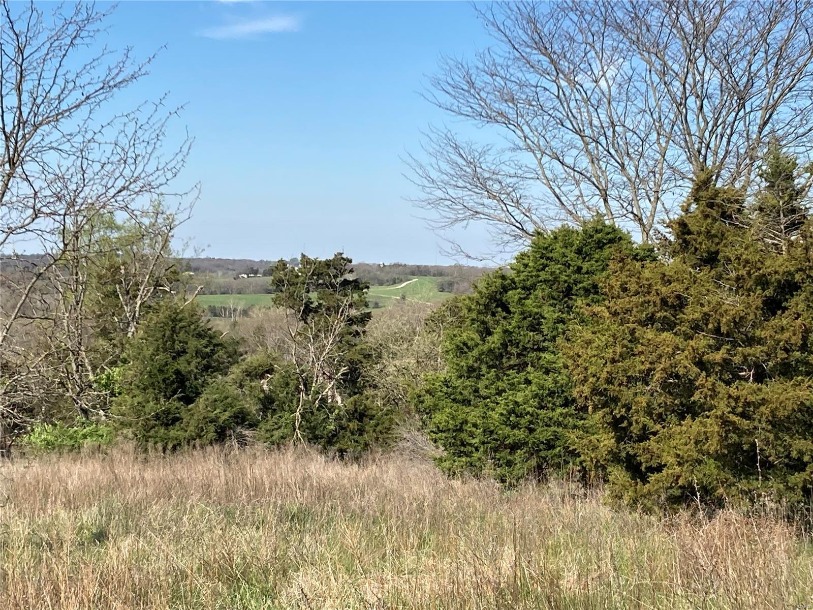 56.381 Acres Hwy - Farm