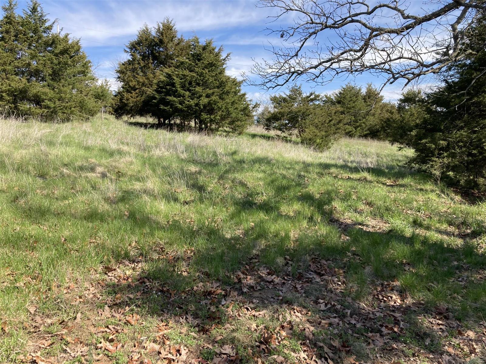 56.381 Acres Hwy - Farm