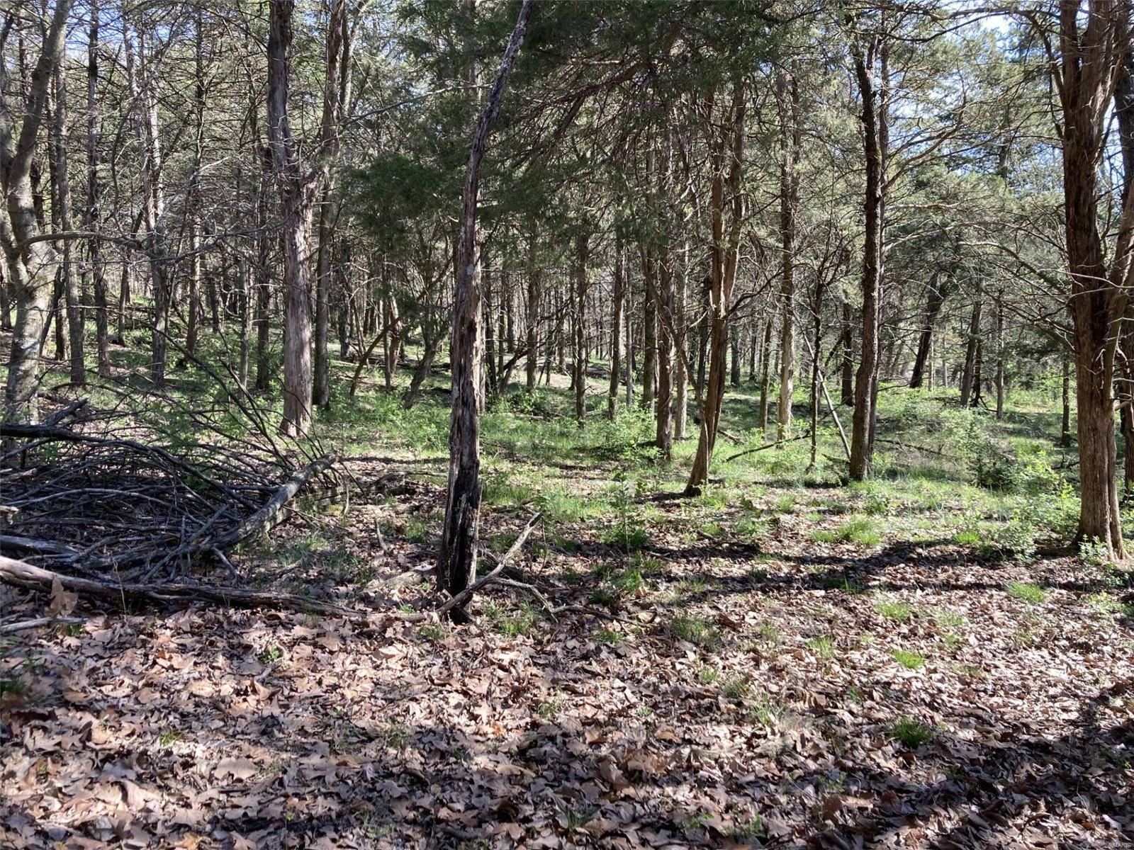 56.381 Acres Hwy - Farm