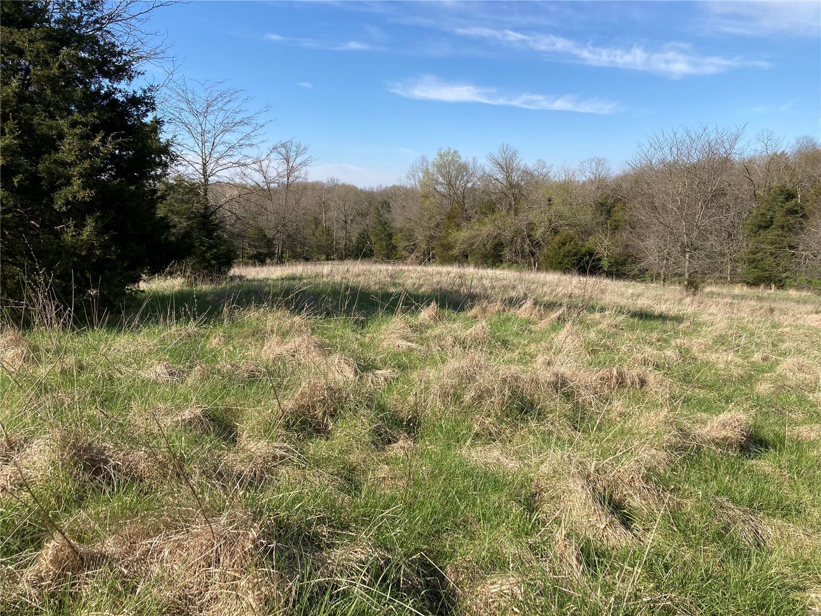 56.381 Acres Hwy - Farm