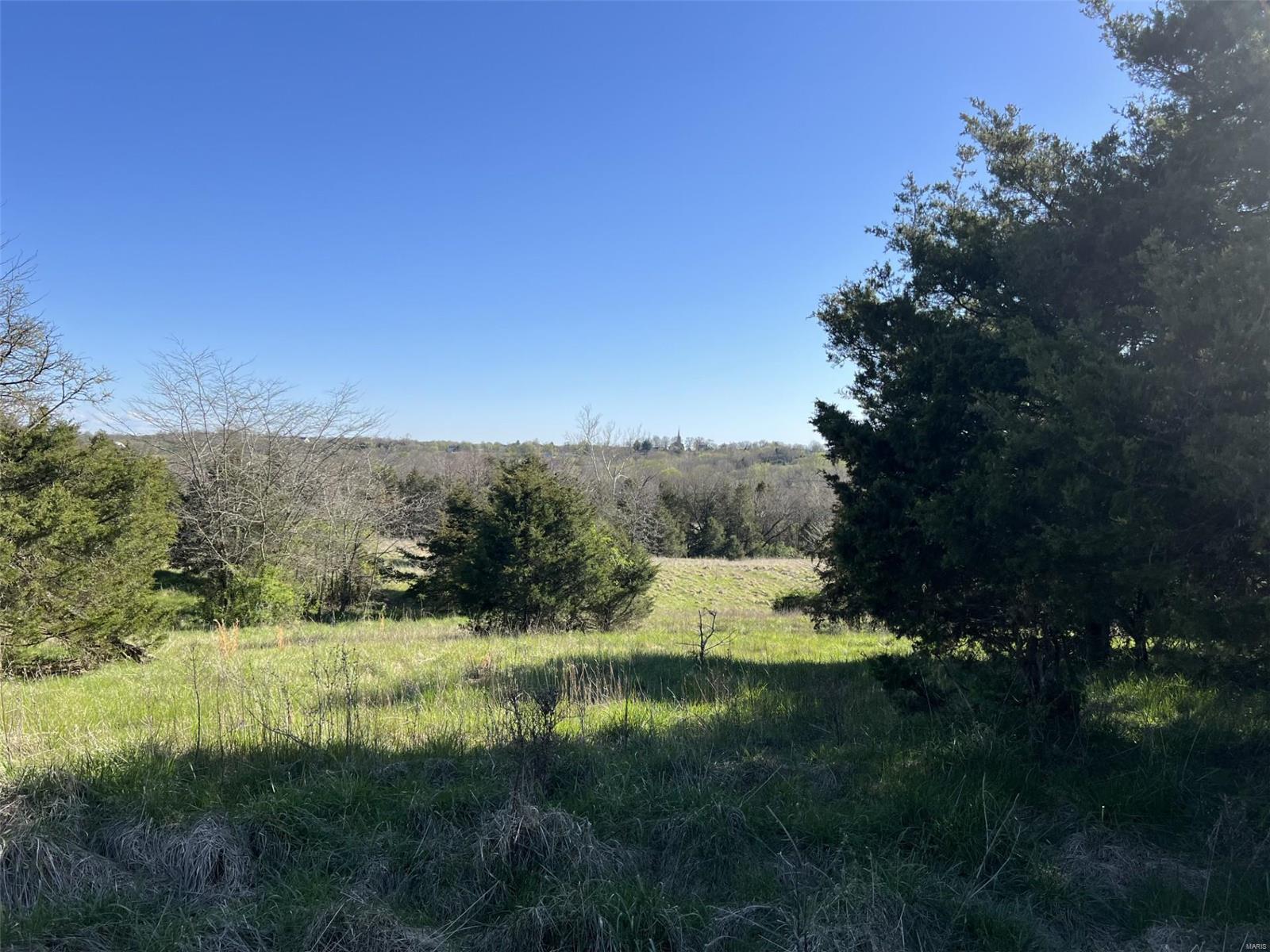 56.381 Acres Hwy - Farm