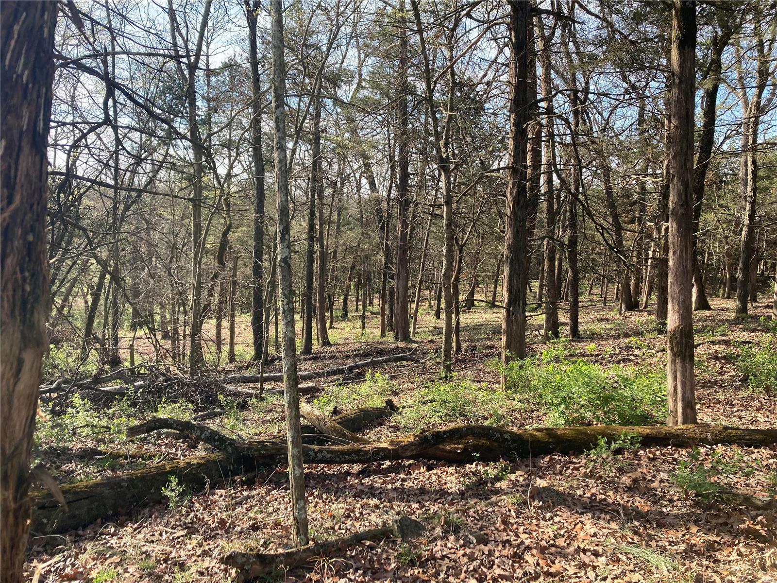 56.381 Acres Hwy - Farm