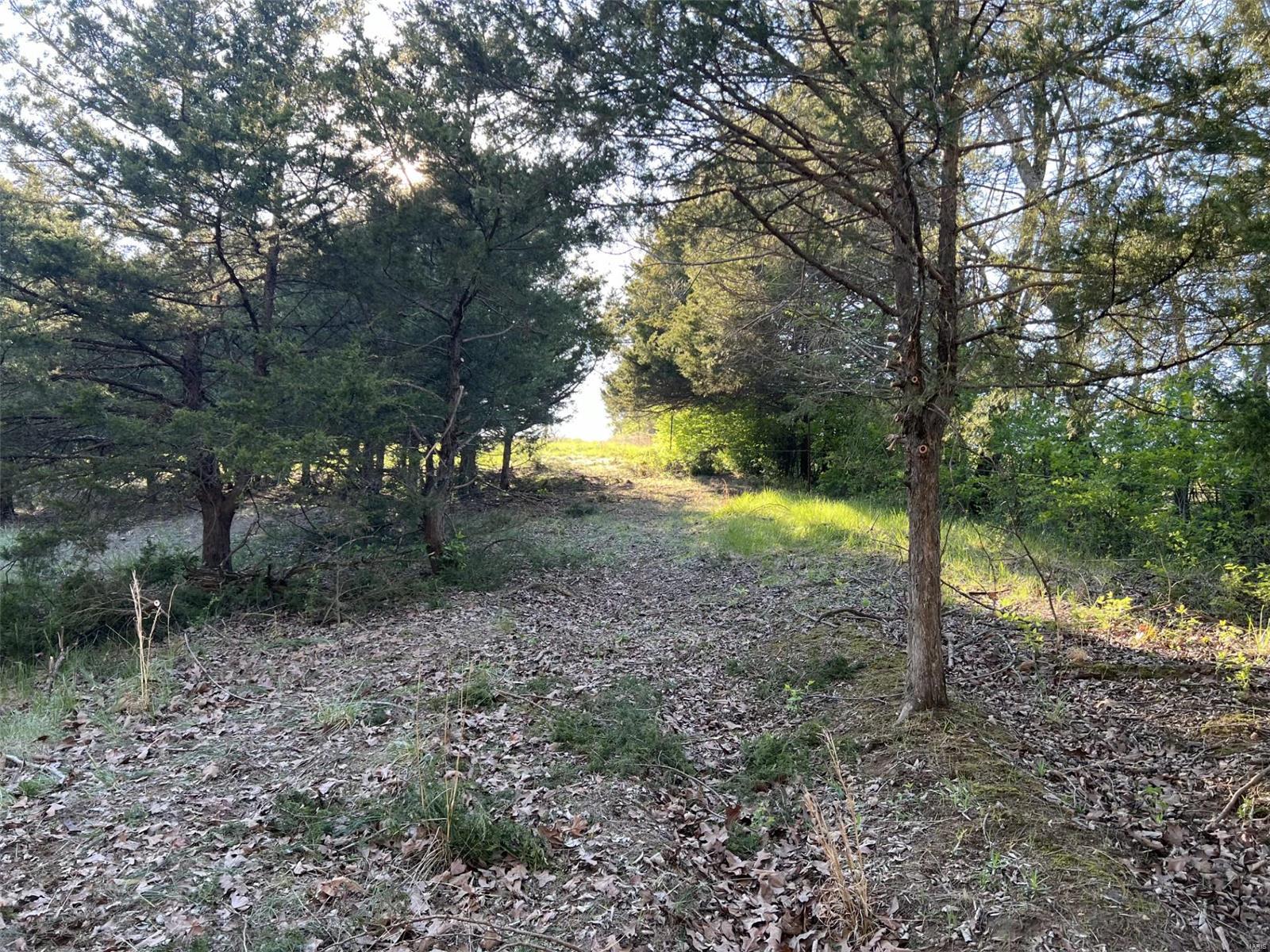 56.381 Acres Hwy - Farm