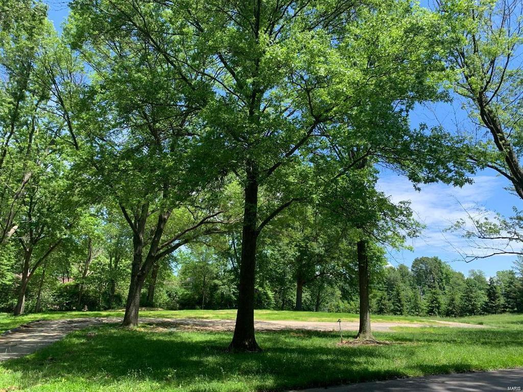 Huntleigh Woods - Land