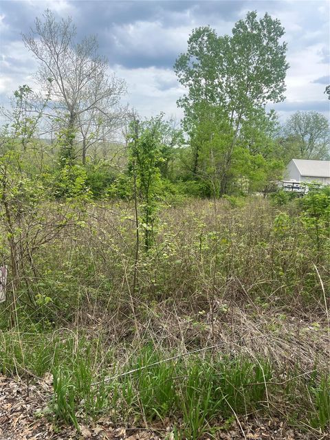 784 Sunset Maple Drive Gray Summit MO 63039