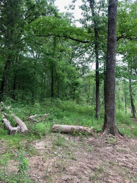 French Village - Farm