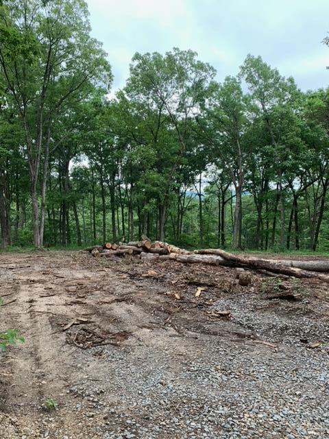 French Village - Farm