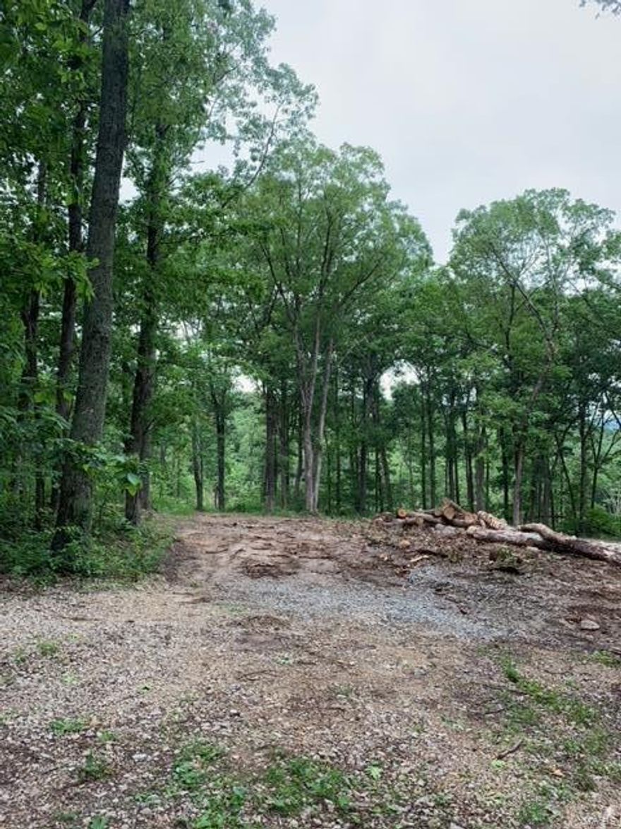 Bring your own builder or just have a weekend getaway to hunt!  Bring your ATV's and deer stands to your quiet retreat away from the city.   The possibilities are endless.   Partially cleared, but mostly wooded 10+ acres in St. François County.  This could be yours!