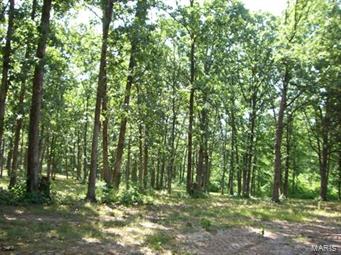 Pinckney Hills - Farm