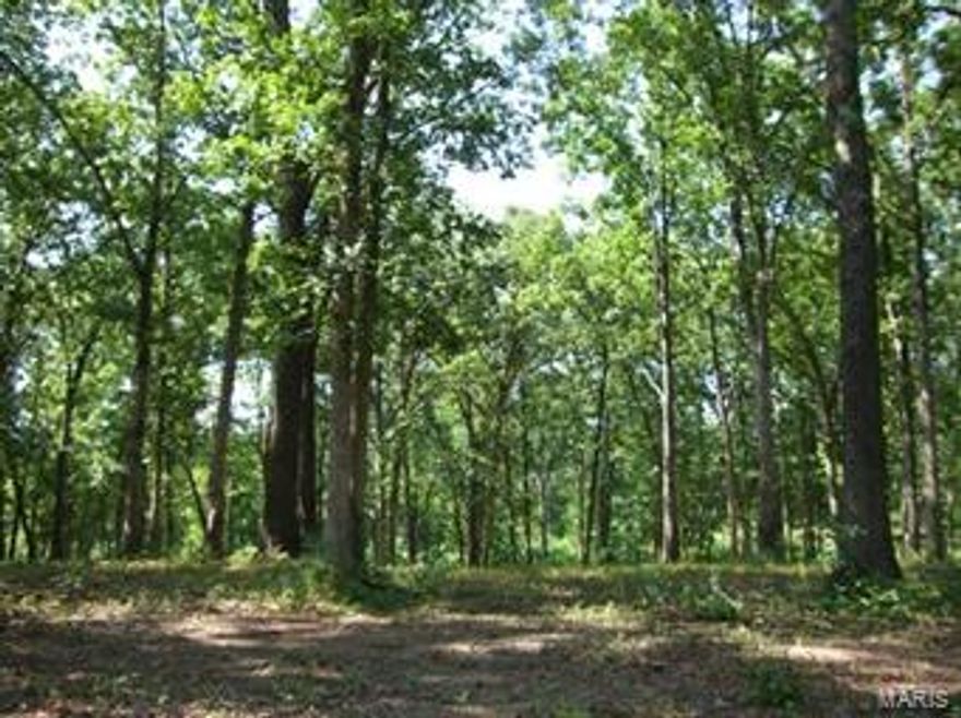 Mostly wooded acreage makes this the perfect property for a private home site.  Enjoy a nice country setting with small lake located close to town and Warrenton schools. Great for building or doublewide on a foundation. * Seller to retain an easement to adjoining 38 acres.  Agent owned