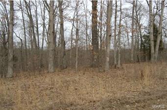 Pinckney Hills - Farm