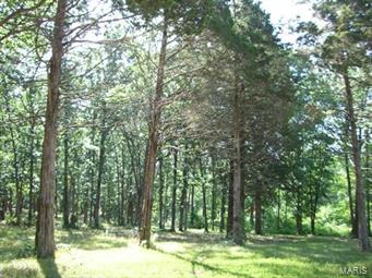 Pinckney Hills - Farm