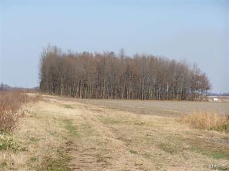 ATTENTION DUCK HUNTERS!!! This would be a great spot. Property attaches to Main Ditch.